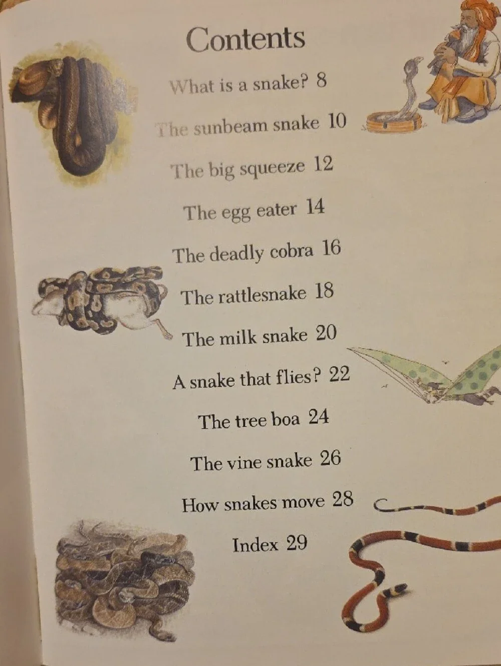 Lot Of 8 Paperback Books 7 Eyewitness Jr. Animal Books And 1 Eyes On Nature Book